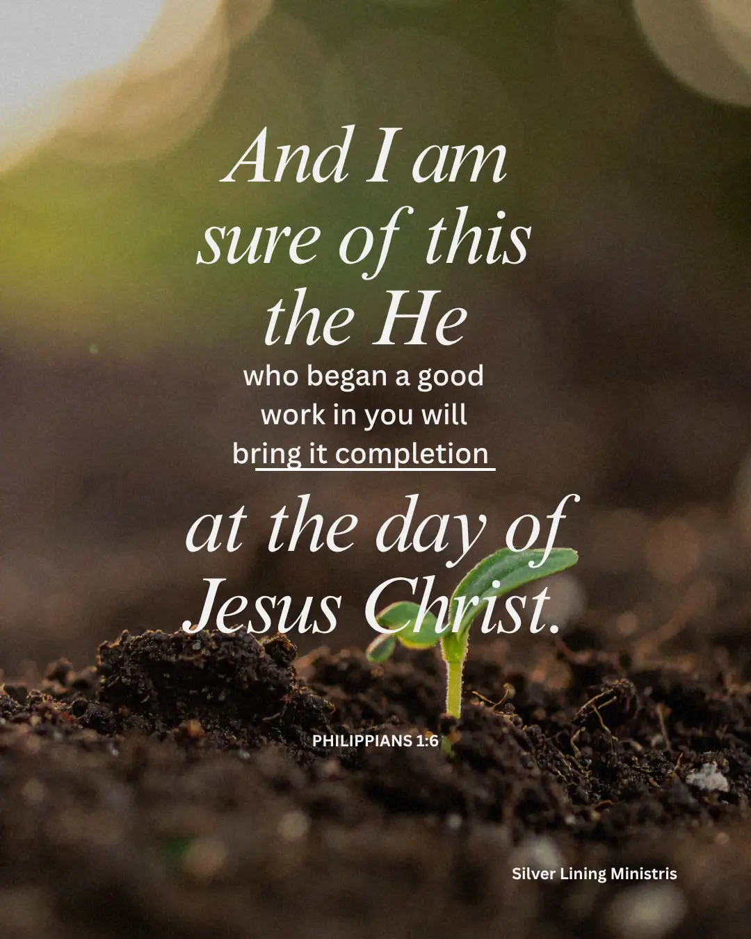 and i am sure of this the he